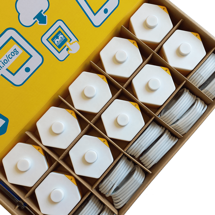 Pack of 10 Robotical Cogs